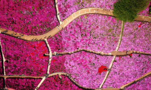 울긋불긋 꽃 대궐