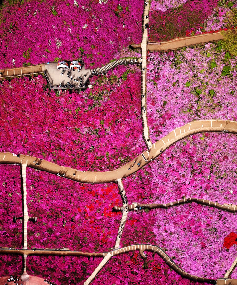 울긋불긋 꽃 대궐