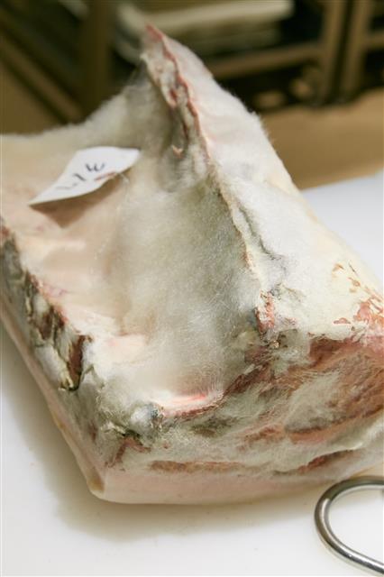 나카세이의 숙성고에서 드라이에이징한 돼지고기 겉면에 하얀 곰팡이가 피어 있다. 흰 곰팡이는 외부의 유해한 곰팡이나 박테리아로부터 내부를 보호해 숙성을 돕는 역할을 한다.
