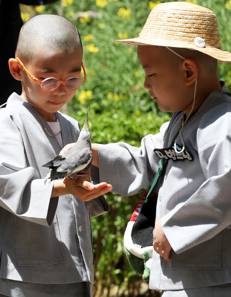 석가탄신일을 열흘 앞둔 2일 오전 경기도 용인시 에버랜드를 찾은 조계사 단기 출가 동자승들이 앵무새를 보며 신기해하고 있다. 2019.5.2  연합뉴스
