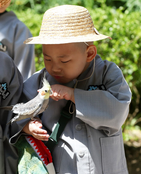 석가탄신일을 열흘 앞둔 2일 오전 경기도 용인시 에버랜드를 찾은 조계사 단기 출가 동자승들이 앵무새를 보며 신기해하고 있다. 2019.5.2  연합뉴스