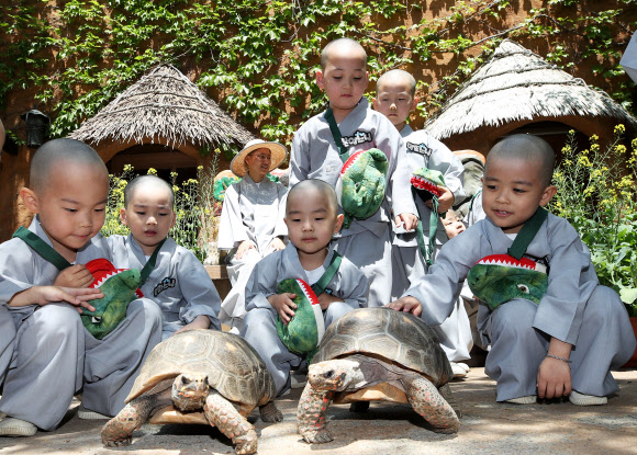 석가탄신일을 열흘 앞둔 2일 오전 경기도 용인시 에버랜드를 찾은 조계사 단기 출가 동자승들이 거북이를 보며 즐거워하고 있다. 2019.5.2  연합뉴스