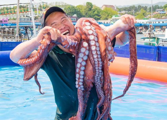 대문어야 반갑다