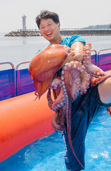 대문어야 반갑다