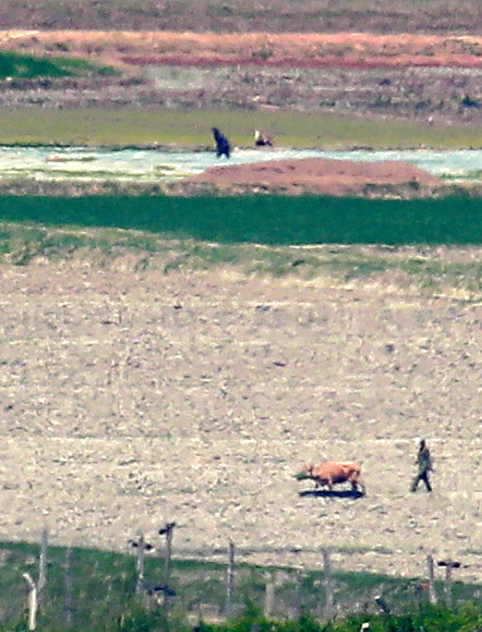 밭 일구는 북한 주민