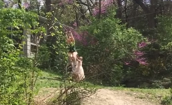 ViralHog 유튜브 채널 캡처.