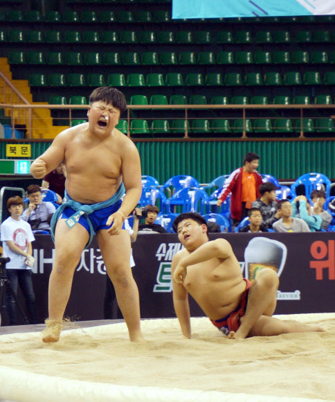 어린이 씨름왕의 포효