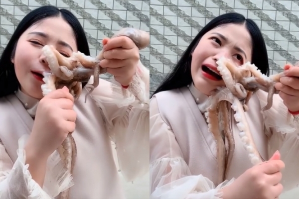 살아있는 문어 먹으려던 여성의 결말