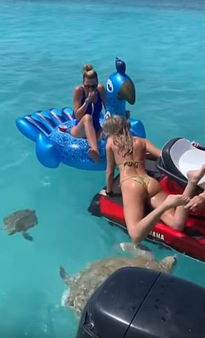 사진·영상= 케이터스 유튜브