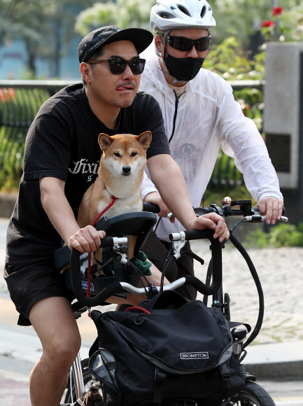 강아지도 함께 하는 자전거퍼레이드