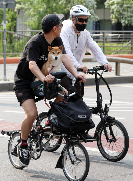 강아지도 함께 하는 자전거퍼레이드