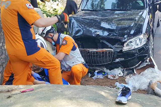 통도사서 70대 운전 승용차 돌진...1명 사망, 12명 중경상