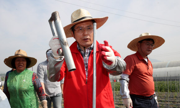 자유한국당 황교안 대표가 14일 오전 충북 제천시 무도2리 고추밭에서 봉사활동을 하고 있다. 2019.5.14  연합뉴스