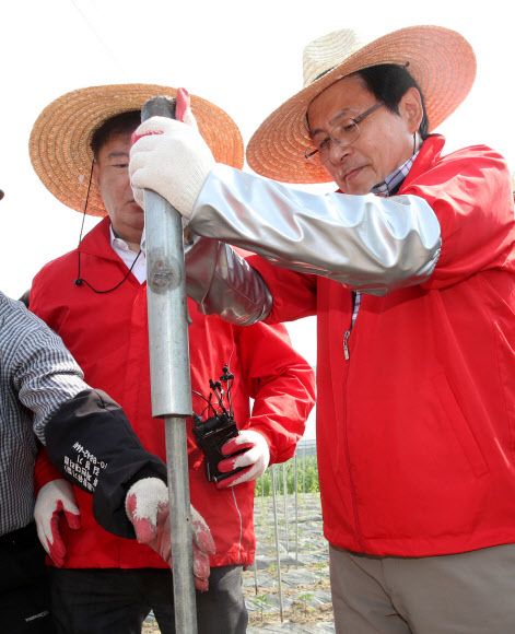 자유한국당 황교안 대표가 14일 오전 충북 제천시 무도2리 고추밭에서 봉사활동을 하고 있다. 2019.5.14  연합뉴스