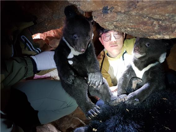 지리산에 방사한 반달가슴곰(KF58)이 바위굴 속 야생에서 새끼 2마리를 출산한 것으로 올해 4월 확인됐다. 국립공원공단 제공