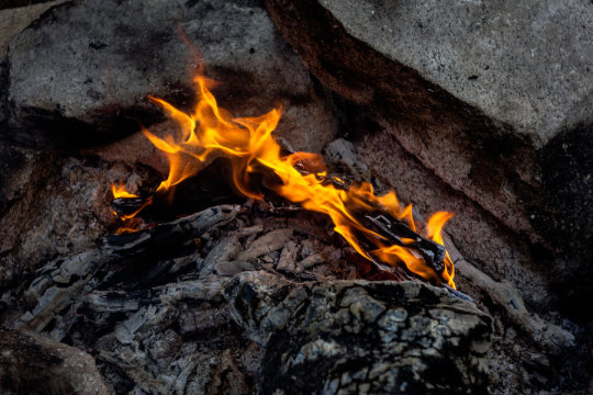 12만년 전 인류는 최초로 곡물을 불에 익혀먹었다는 증거가 처음으로 발견됐다. 사이언스 데일리 제공
