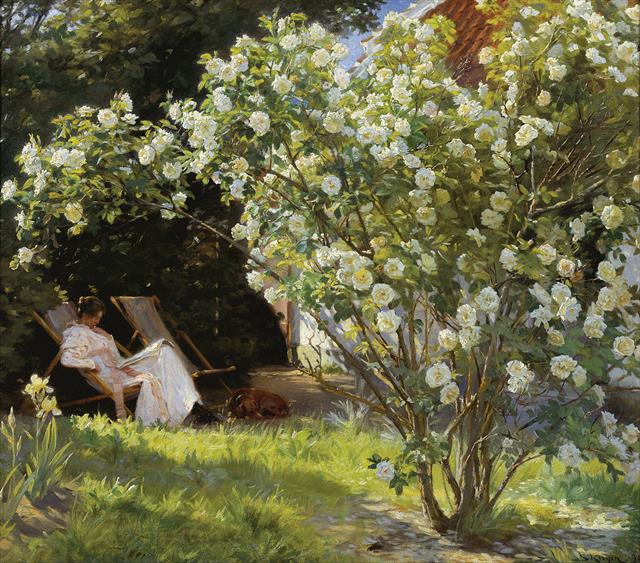 페더 세베린 크뢰이어, ‘장미’, 1893년 (76.5×67.5㎝, 스카겐 미술관, 덴마크 스카겐)