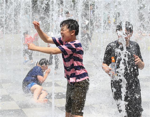 더위와의 정면 승부