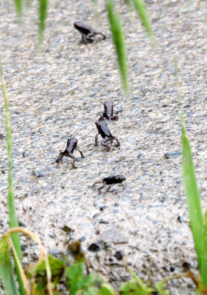 ‘이사하기 좋은 날씨’