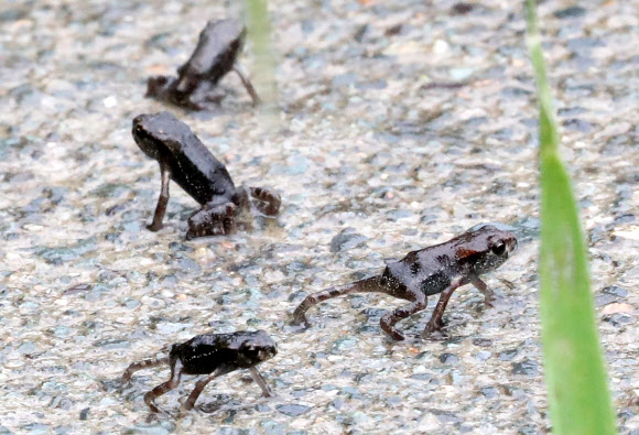‘이사하기 좋은 날씨’