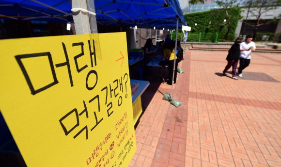 29일 축제가 열리고 있는 서울의 한 대학교에서 한산한 축제현장과는 달리 공부하는 학생들로 꽉 찬 도서관의 모습이 대조적이다. 2019. 5. 29 정연호 기자 tpgod@seoul.co.kr