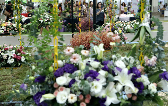 30일 대구 엑스코에서 열린 꽃박람회에서 관람객들이 꽃으로 만든 다양한 전시물들을 보고 있다. 올해 10회를 맞는 ‘대구꽃박람회’는 국내 최대 규모의 실내 꽃박람회로 2일까지 열린다. 2019.5.30  연합뉴스