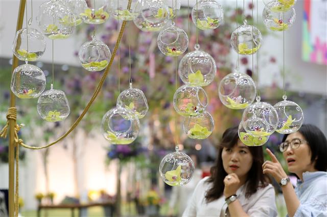 국내 최대 규모의 실내 꽃박람회인 제10회 대구꽃박람회가 30일 대구 엑스코(EXCO)에서 개막했다. 전시장을 찾은 관람객들이 다양한 꽃을 감상하고 있다. 6월 2일까지 계속되는 이 박람회는 1만7000㎡ 규모에 대구·경북 상생을 테마로 한 ‘꽃들의 행진’을 선보인다. 2019.5.30 뉴스1