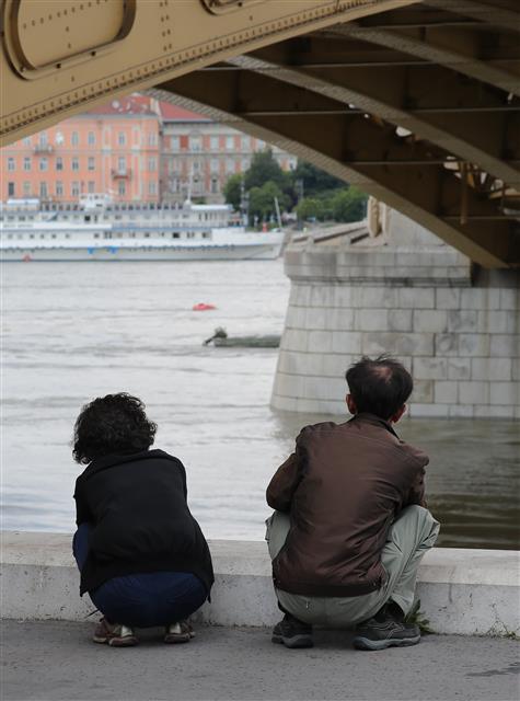다뉴브강 찾은 실종자 가족