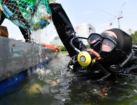 3일 서울 송파구 석촌호수에서 열린 호수정화사업에 참가한 롯데 스킨스쿠버 동호회원과 송파구청 스킨스쿠버 동호회원이 물속에 잠수하여 쓰레기를 수거하고 있다. 2019. 06.03. 박지환 기자 popocar@seoul.co.kr