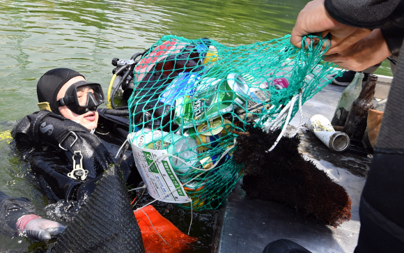 3일 서울 송파구 석촌호수에서 열린 호수정화사업에 참가한 롯데 스킨스쿠버 동호회원과 송파구청 스킨스쿠버 동호회원이 물속에 잠수하여 쓰레기를 수거하고 있다. 2019. 06.03. 박지환 기자 popocar@seoul.co.kr