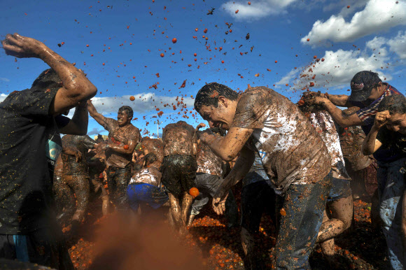 2일(현지시간) 콜롬비아 보야카주 수타마르찬에서 열린 토마토 싸움 축제 ‘토마티나(Tomatina)’ 참가자들이 토마토를 던지며 즐거워하고 있다. AFP 연합뉴스