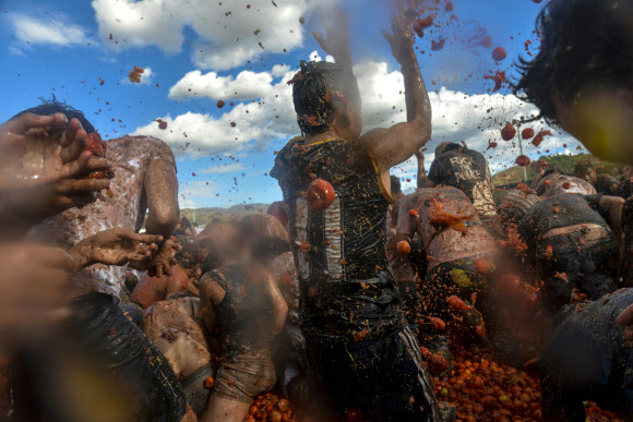 2일(현지시간) 콜롬비아 보야카주 수타마르찬에서 열린 토마토 싸움 축제 ‘토마티나(Tomatina)’ 참가자들이 토마토를 던지며 즐거워하고 있다. AFP 연합뉴스