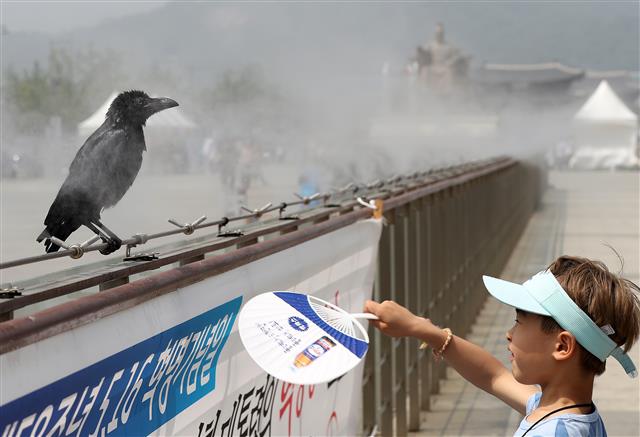 어제는 최고 35.7도… 오늘·내일은 최고 250㎜ 비 