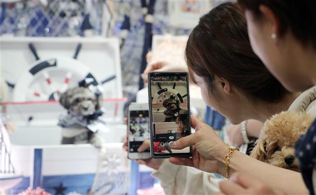 ‘귀여운 우리 강아지’