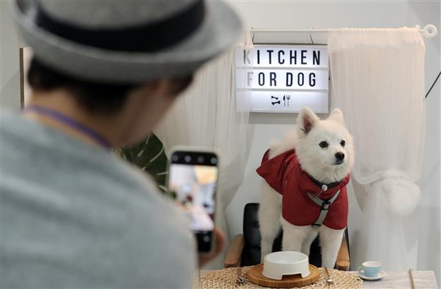 ‘추억 만들기’