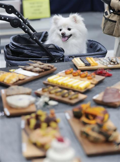 ‘저 이거 사주세요’