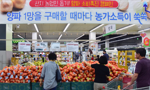 생산량 증가에 따른 가격하락으로 어려움을 겪고 있는 양파 생산 농가를 돕기 위해 9일 농협 하나로마트 양재점에서 벌이고 있는 ‘양파 소비촉진 캠페인’에서 소비자들이 양파를 고르고 있다. 올해는 기상여건 호조로 과잉생산된 양파의 산지가격이 생산원가에 못 미치는 수준으로 폭락할 것으로 전망된다.  2019.6.9. 이종원 선임기자 jongwon@seoul.co.kr