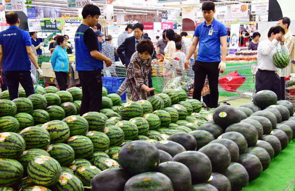 본격적인 무더위가 시작된 가운데 9일 농협 하나로마트 양재점에서 소비자들이 여름철 과일인 수박을 고르고 있다. 2019.6.9.     이종원 선임기자 jongwon@seoul.co.kr