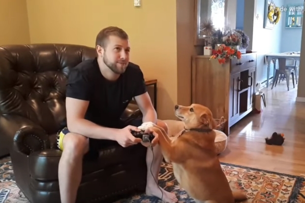 ‘게임하지 말고 나랑 놀자’