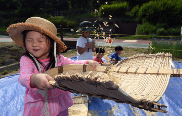 12일 서울 서초구 양재천에서 어린이들이 전통 보리수확 체험을 하고 있다. 2019. 6. 12. 박윤슬 기자 seul@seoul.co.kr