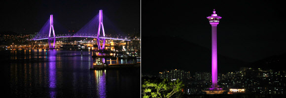 13일 오후 부산의 랜드마크인 부산 용두산 부산타워와 부산항대교가 방탄소년단을 상징하는 보라색으로 물들고 있다. 지난달 BTS의 미국 뉴욕 방문 때 랜드마크인 엠파이어 스테이트 빌딩의 상층부 LED 조명이 보라색으로 연출된 바 있다. 또 웸블리 스타디움 콘서트장도 보라색 조명으로 밝히고 방탄소년단과 팬들을 맞이했다. 2019.6.13  연합뉴스
