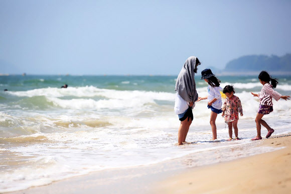대천해수욕장 찾은 피서객