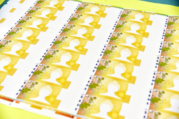 지난 18일 경북 경산 화폐본부 생산현장에서 평판인쇄를 끝낸 5만원권 전지가 놓여있다.  화폐제조 첫 번째 공정은 평판인쇄로, 신사임당 얼굴의 윤곽 등 밑그림을 인쇄하고 잉크가 묻어나지 않도록 말린다. 2019.6.19  한국조폐공사 제공