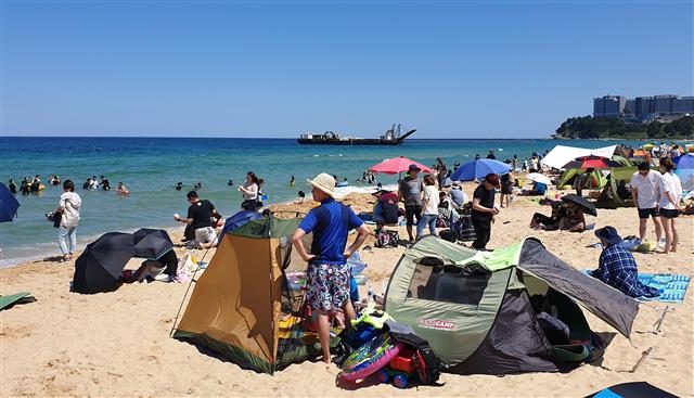 여름엔 바다가 최고