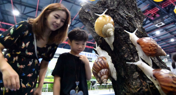 23일 서울 세텍에서 열린 대한민국 애완곤충경진대회에서 어린이들이 달팽이를 바라보고 있다. 2019.6.23 박지환기자 popocar@seoul.co.kr