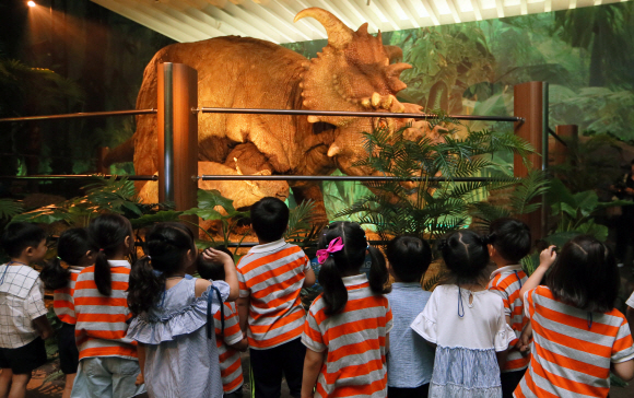 26일 오전 서울 강서구 롯데백화점 김포공항점에서 어린이들이 ‘쥬라기 월드 특별전’을 관람하고 있다.   아시아 최초로 오픈하는 ‘쥬라기 월드 특별전’은 미국 유니버설사의 ‘쥬라기 월드’에 나온 공룡을 만날 수 있는 전시로 전 세계 5번째이자 아시아 최초이다. 실면적 600평 규모의 쥬라기 월드 스토리를 그대로 재현해 영화 속 주인공들처럼 페리를 타고 공룡 거주지인 이슬라 누블라를 방문하는 경험을 하며, 티라노사우루스를 비롯 브라키오사우루스, 스테고사우루스 등 약 7종의 대형 공룡을 ‘애니메트로닉스’ 기술을 통해 움직이게 만들었다. 2019. 06.26. 박지환 기자 popocar@seoul.co.kr