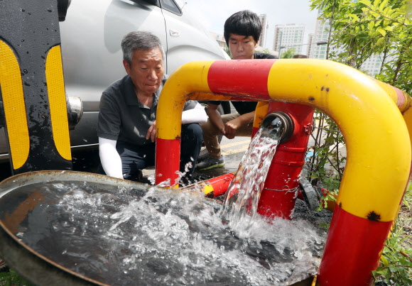 27일 오전 인천시 서구 청라동 A아파트 인근 소화전에서 ‘수돗물 민원 기동반’ 대원들이 수돗물 상태를 맨눈으로 점검하고 있다. 2019.6.27  연합뉴스