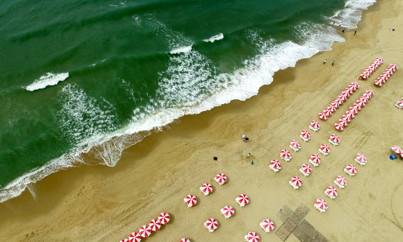 1일 부산 해운대해수욕장 백사장에 파라솔이 설치되고 있다. 이날 부산지역 공설 해수욕장 7곳이 모두 문을 열었다. 광안리·다대포·일광·임랑해수욕장은 이날부터 손님맞이에 들어갔다. 지난달 1일 부분 개장했던 해운대·송도·송정해수욕장은 이날부터 전 구간에서 해수욕을 즐길 수 있다. 2019.7.1  연합뉴스