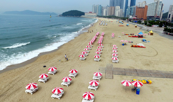 1일 부산 해운대해수욕장 백사장에 파라솔이 설치되고 있다. 이날 부산지역 공설 해수욕장 7곳이 모두 문을 열었다. 광안리·다대포·일광·임랑해수욕장은 이날부터 손님맞이에 들어갔다. 지난달 1일 부분 개장했던 해운대·송도·송정해수욕장은 이날부터 전 구간에서 해수욕을 즐길 수 있다. 2019.7.1  연합뉴스