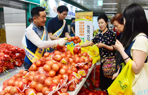 3일 서울 사당역에서 열린 ‘양파 산지 농가 돕기 특판전’에서 시민들이 전남 무안 양파를 구매하고 있다. 2019.7.3. 이종원 선임기자 jongwon@seoul.co.kr